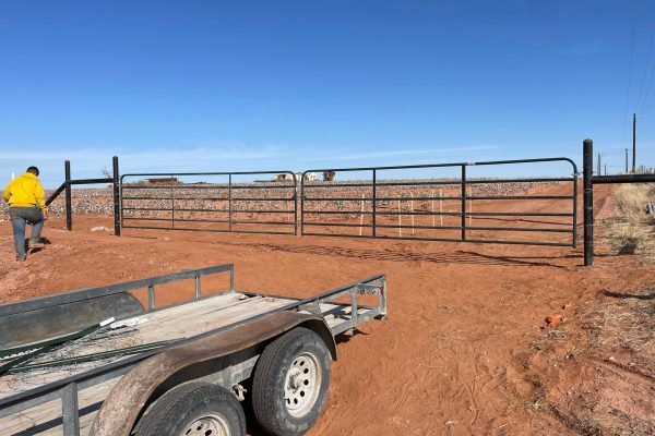 WhatsApp Image 2026-01-25 at 12.11.36 AM